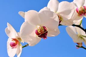 世界游艇青年赛国际裁判培训班开班，游艇竞赛